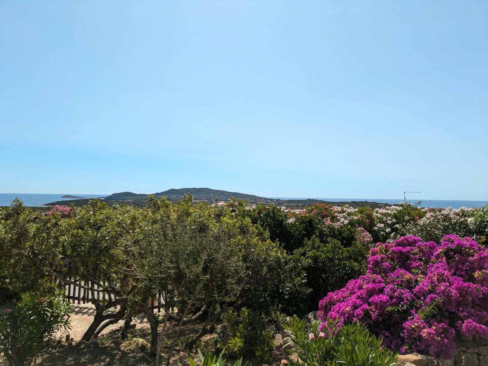 Villa Vista Mare Cala Ginepro Punta Molara Exterior foto